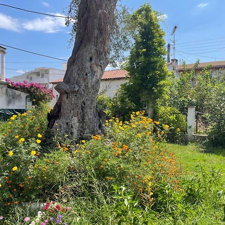 Aurelia Seaside Apartment Kávos Екстериор снимка