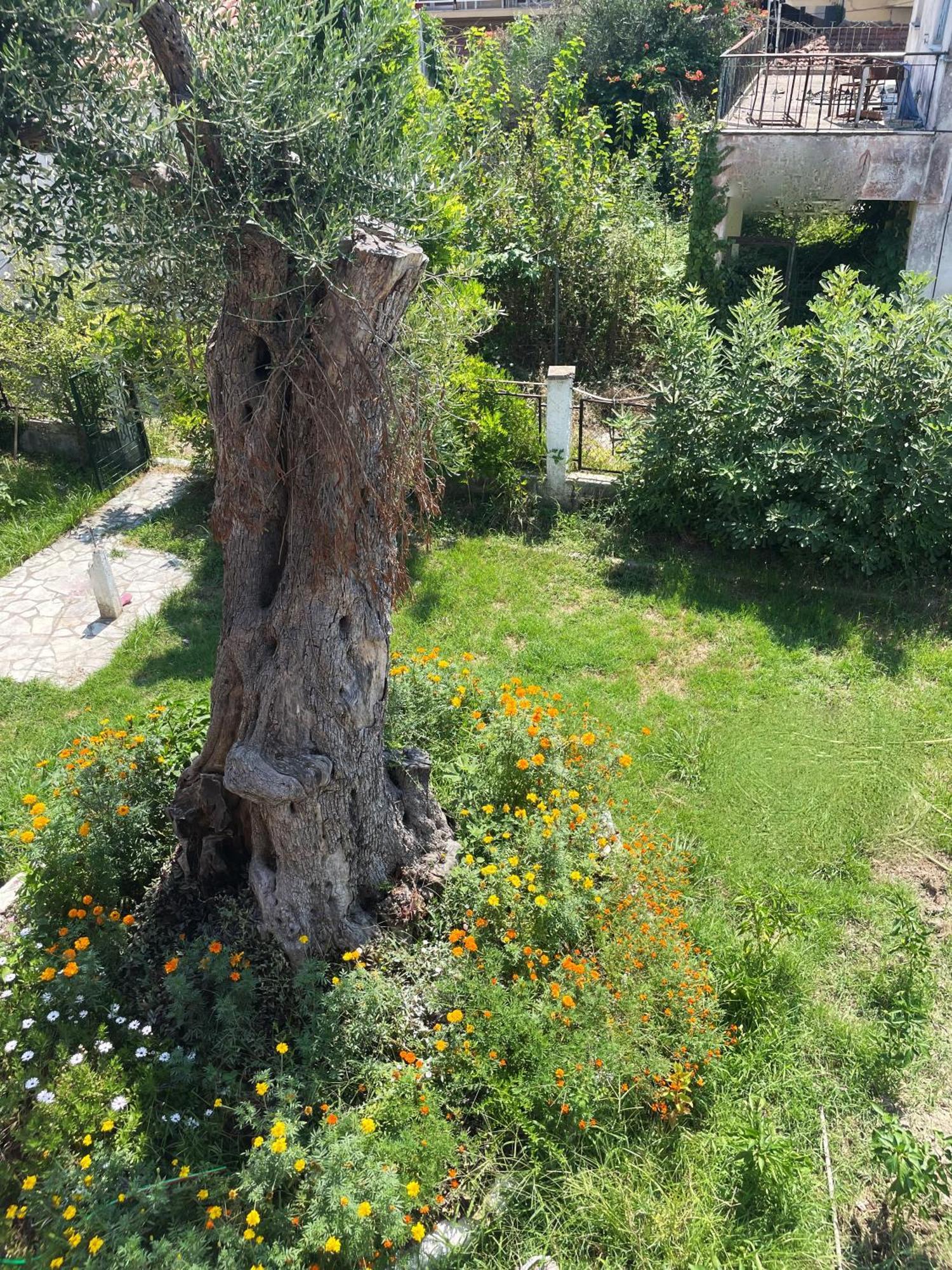 Aurelia Seaside Apartment Kávos Екстериор снимка